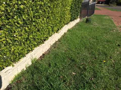 All In-One Crazy Stone - Image 3